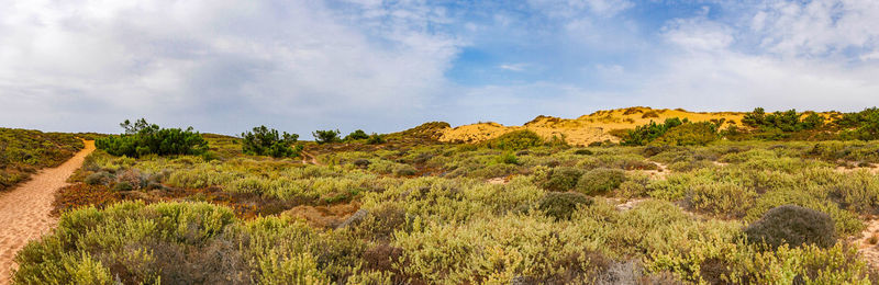 Panoramic view of green landscape against sky