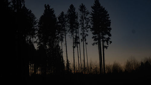 Silhouette trees in forest against sky at night