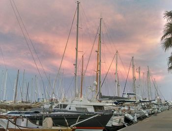 Sailboats moored in harbor at sunset