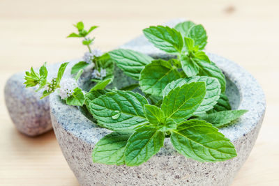 Close-up of herbs in mortar and pestle on table