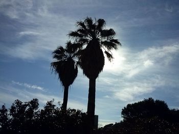 Low angle view of silhouette tree against sky