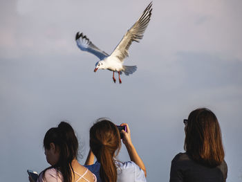 Low angle view of two birds flying against sky