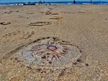 High angle view of footprints on beach