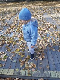 Rear view of boy standing on leaves during autumn