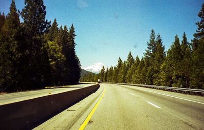 Empty road along trees
