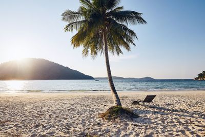 Tropical beach at beautiful sunset. empty chair under palm tree against sea.