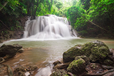 Scenic view of waterfall in forest