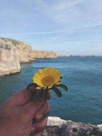 Cropped hand holding flower by sea