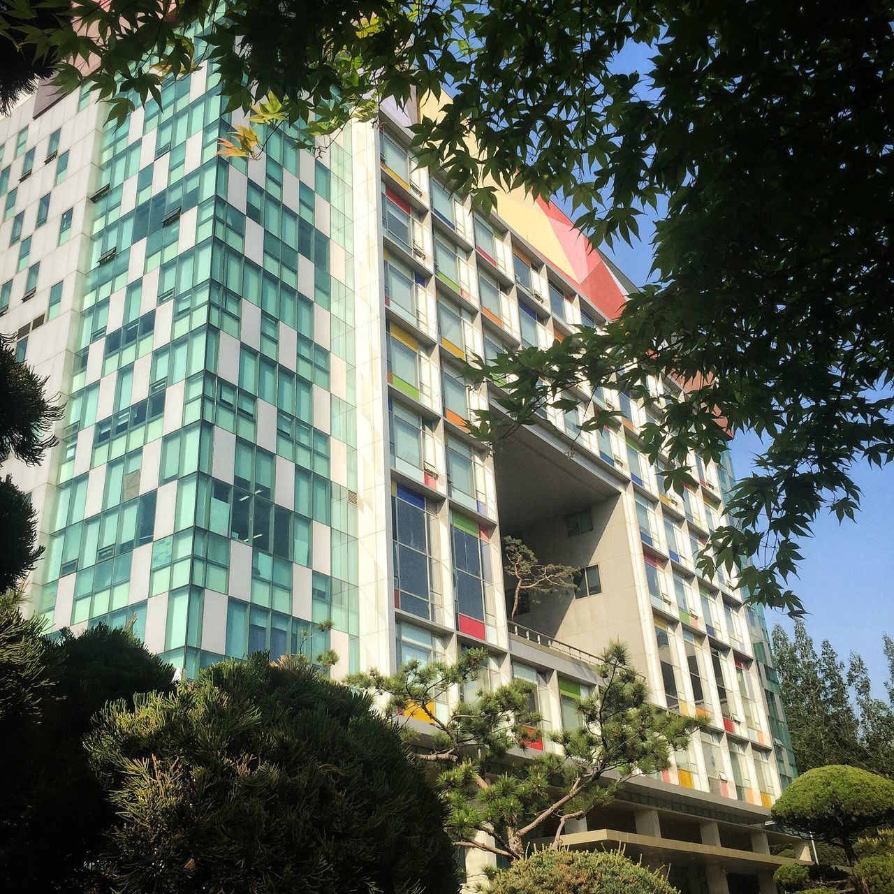 tree, architecture, building exterior, built structure, low angle view, day, no people, outdoors, growth, plant, sky, clear sky