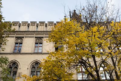 Trees in front of historical building