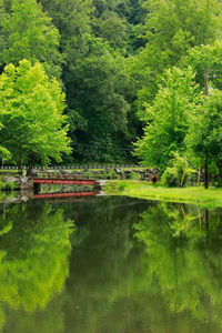 Scenic view of lake by trees