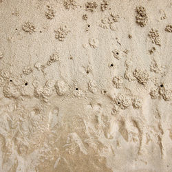 High angle view of footprints on sand at beach