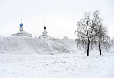 View of snow covered landscape