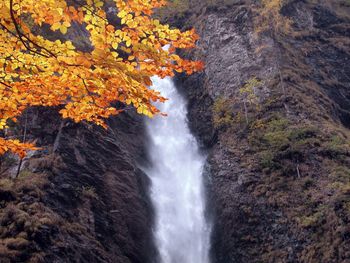 Scenic view of waterfall in forest during autumn