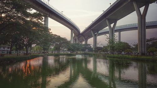 Reflection of trees on bridge against sky