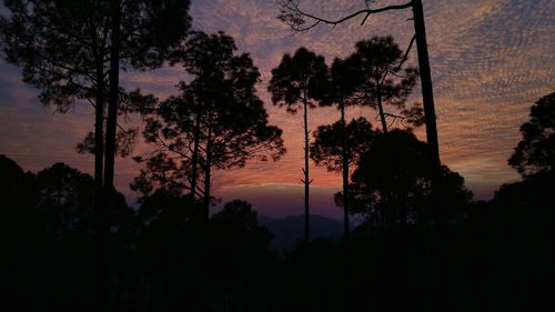 Low angle view of silhouette trees against sky at sunset