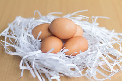 High angle view of eggs in container