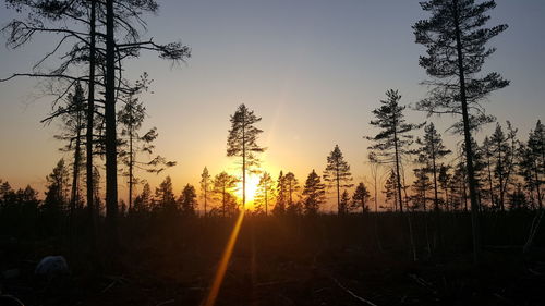 Silhouette trees on field against sky at sunset