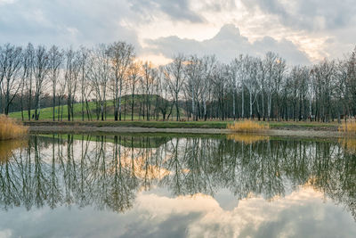 Reflection of trees in lake against cloudy sky