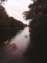 Scenic view of river amidst trees against sky