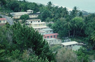 High angle view of trees and houses