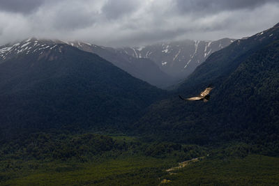 Scenic view of mountains in patagonia