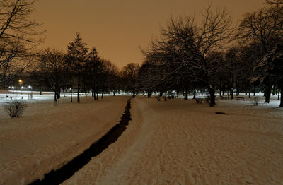 Trees on snow covered landscape