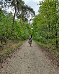 Rear view of woman walking on road amidst trees