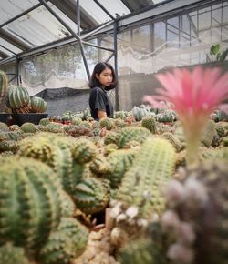 Woman standing in greenhouse