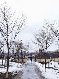 Bare trees on snow covered landscape