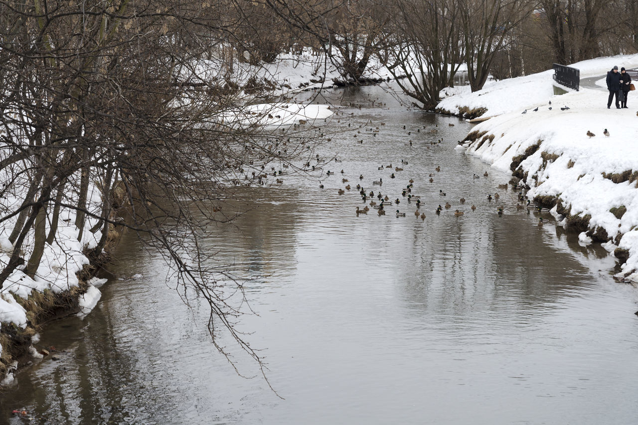 VIEW OF FROZEN LAKE