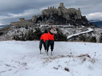 Full length rear view of man on snow covered land