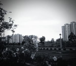 View of buildings against sky