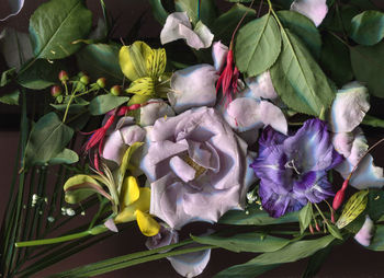 Close-up of flowers