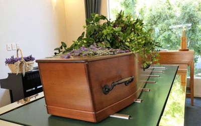 Potted plants on table by window