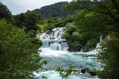 Scenic view of waterfall in forest