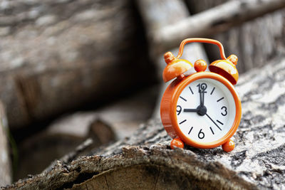 Orange alarm clock isolated on tree trunk. the alarm clock set at 9 o'clock.