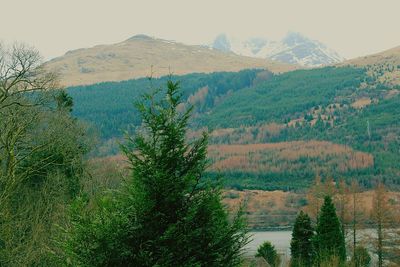 Scenic view of mountains