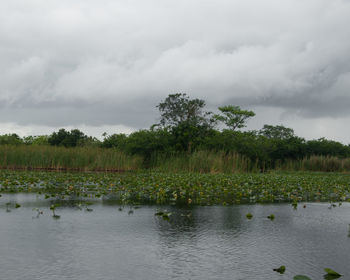 Scenic view of landscape against cloudy sky