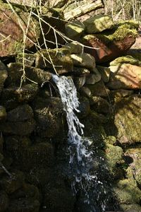 Close-up of rock in water