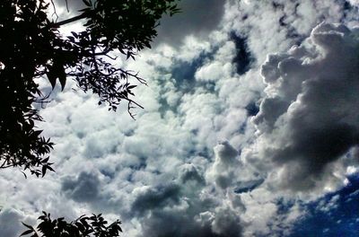 Low angle view of trees against cloudy sky