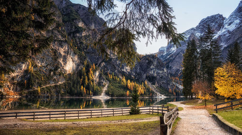 Footpath by trees against mountains