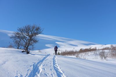 Snow covered landscape with snowcapped mountain in background