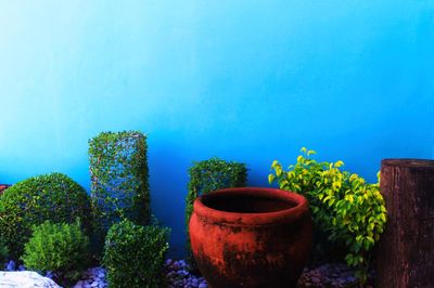 Close-up of potted plant against sky