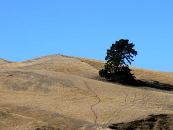 Scenic view of landscape against clear blue sky