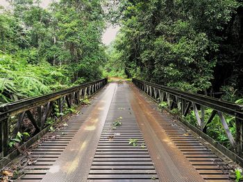 Footbridge amidst trees in forest