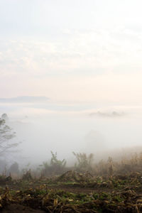 Scenic view of landscape against cloudy sky