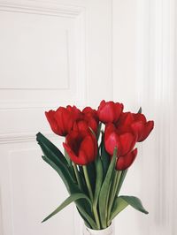 Close-up of red flower