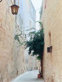 Street amidst houses