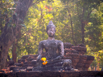 Statue of buddha against trees